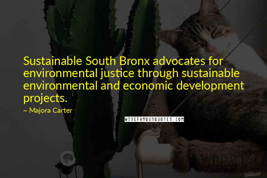 Majora Carter Quotes: Sustainable South Bronx advocates for environmental justice through sustainable environmental and economic development projects.