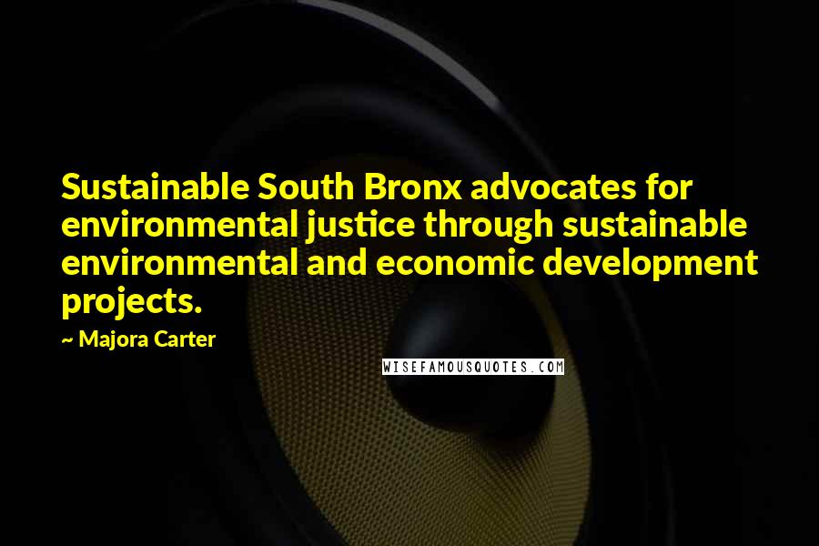 Majora Carter Quotes: Sustainable South Bronx advocates for environmental justice through sustainable environmental and economic development projects.