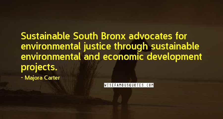 Majora Carter Quotes: Sustainable South Bronx advocates for environmental justice through sustainable environmental and economic development projects.