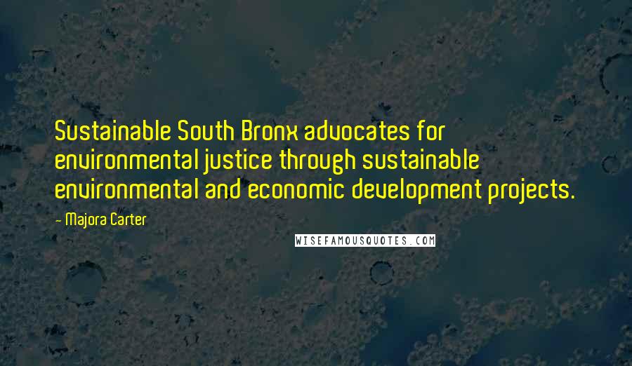 Majora Carter Quotes: Sustainable South Bronx advocates for environmental justice through sustainable environmental and economic development projects.