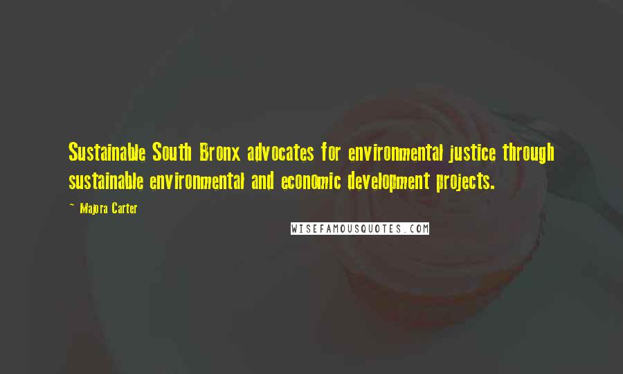 Majora Carter Quotes: Sustainable South Bronx advocates for environmental justice through sustainable environmental and economic development projects.