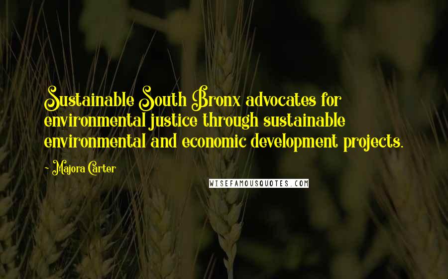 Majora Carter Quotes: Sustainable South Bronx advocates for environmental justice through sustainable environmental and economic development projects.