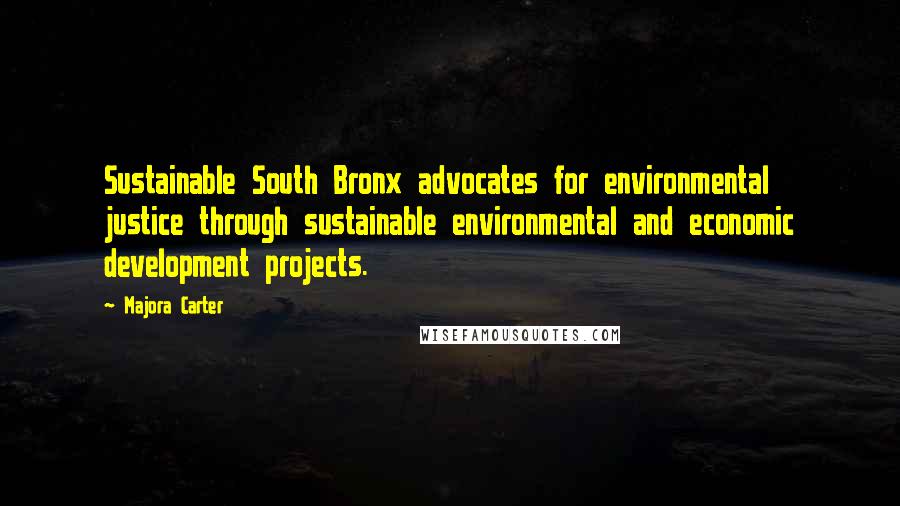 Majora Carter Quotes: Sustainable South Bronx advocates for environmental justice through sustainable environmental and economic development projects.