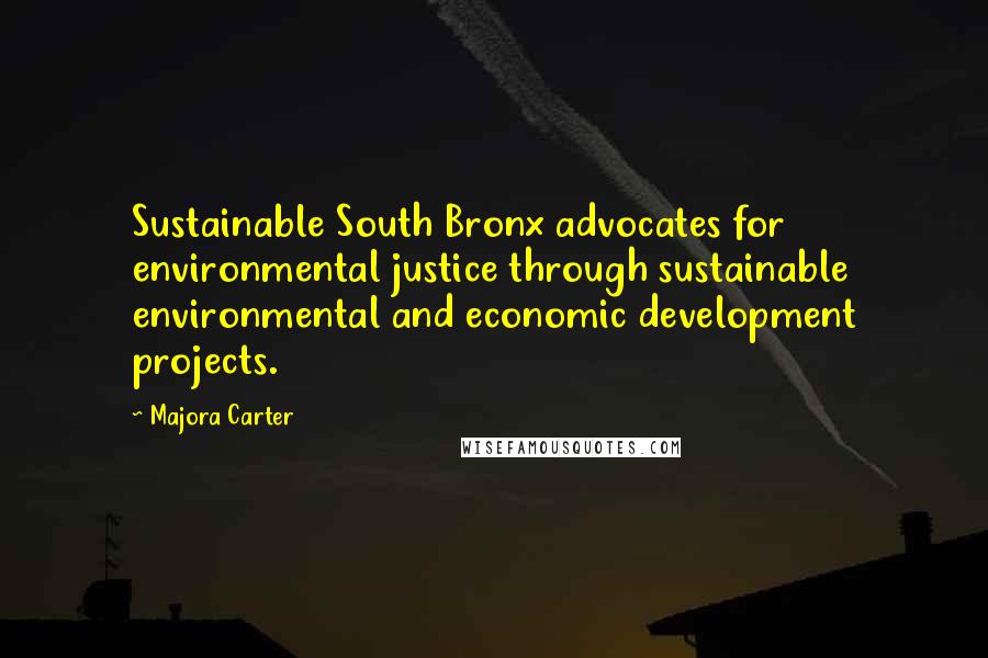 Majora Carter Quotes: Sustainable South Bronx advocates for environmental justice through sustainable environmental and economic development projects.