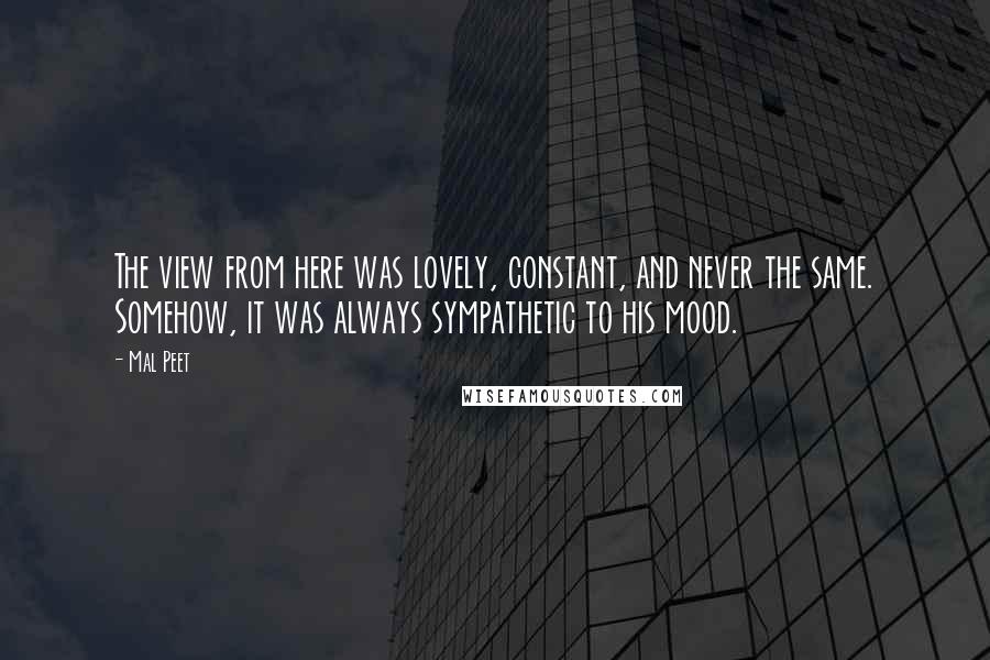 Mal Peet Quotes: The view from here was lovely, constant, and never the same. Somehow, it was always sympathetic to his mood.