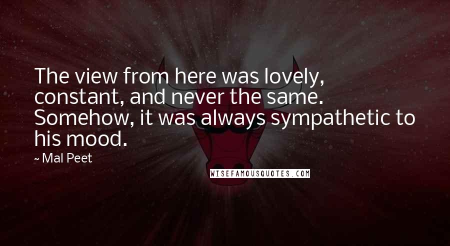 Mal Peet Quotes: The view from here was lovely, constant, and never the same. Somehow, it was always sympathetic to his mood.