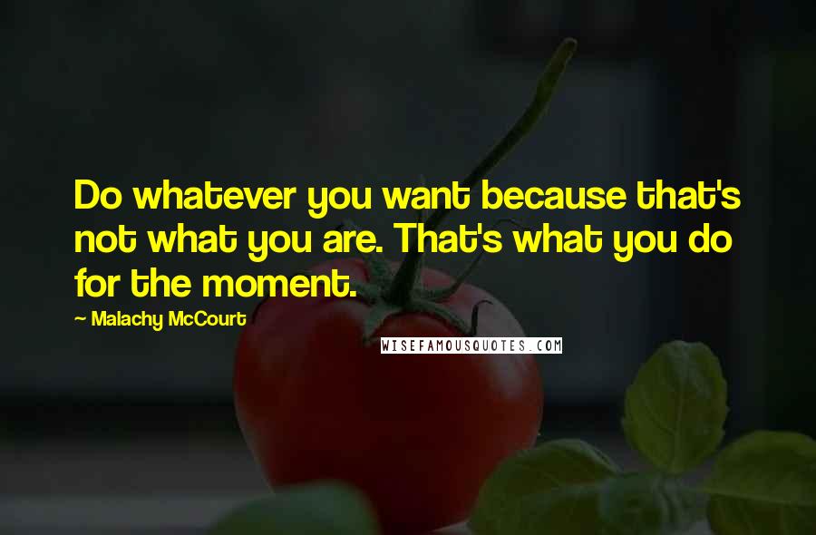 Malachy McCourt Quotes: Do whatever you want because that's not what you are. That's what you do for the moment.