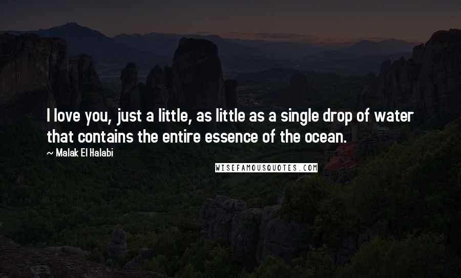 Malak El Halabi Quotes: I love you, just a little, as little as a single drop of water that contains the entire essence of the ocean.