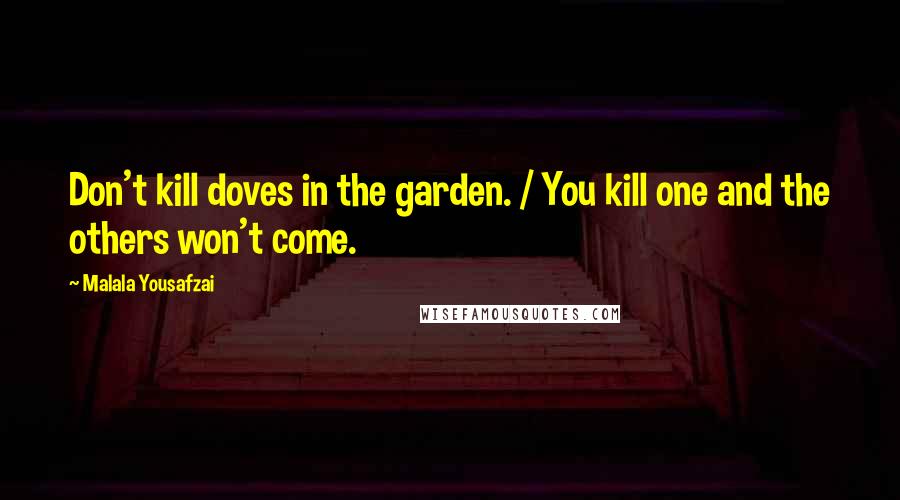 Malala Yousafzai Quotes: Don't kill doves in the garden. / You kill one and the others won't come.