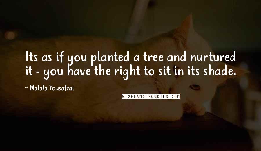 Malala Yousafzai Quotes: Its as if you planted a tree and nurtured it - you have the right to sit in its shade.