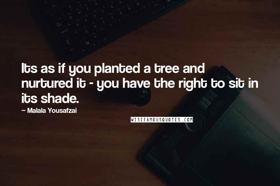 Malala Yousafzai Quotes: Its as if you planted a tree and nurtured it - you have the right to sit in its shade.