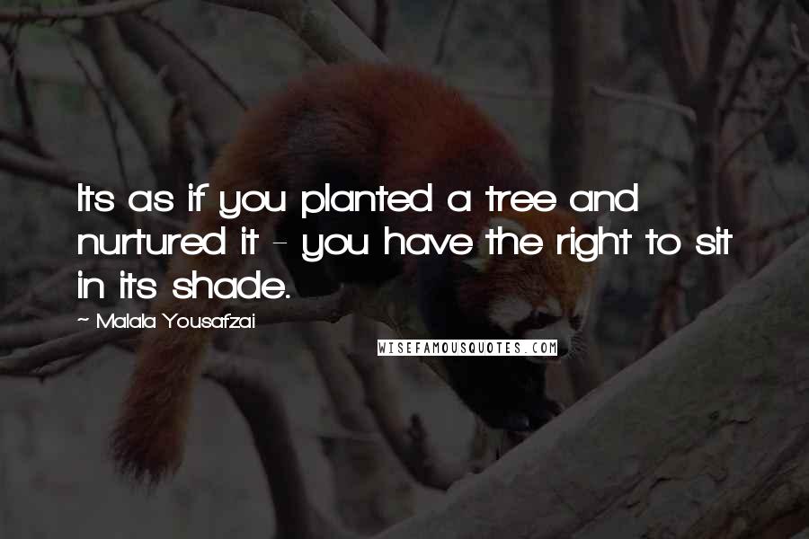 Malala Yousafzai Quotes: Its as if you planted a tree and nurtured it - you have the right to sit in its shade.