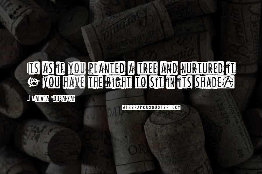 Malala Yousafzai Quotes: Its as if you planted a tree and nurtured it - you have the right to sit in its shade.