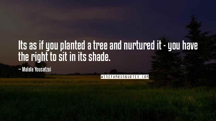 Malala Yousafzai Quotes: Its as if you planted a tree and nurtured it - you have the right to sit in its shade.