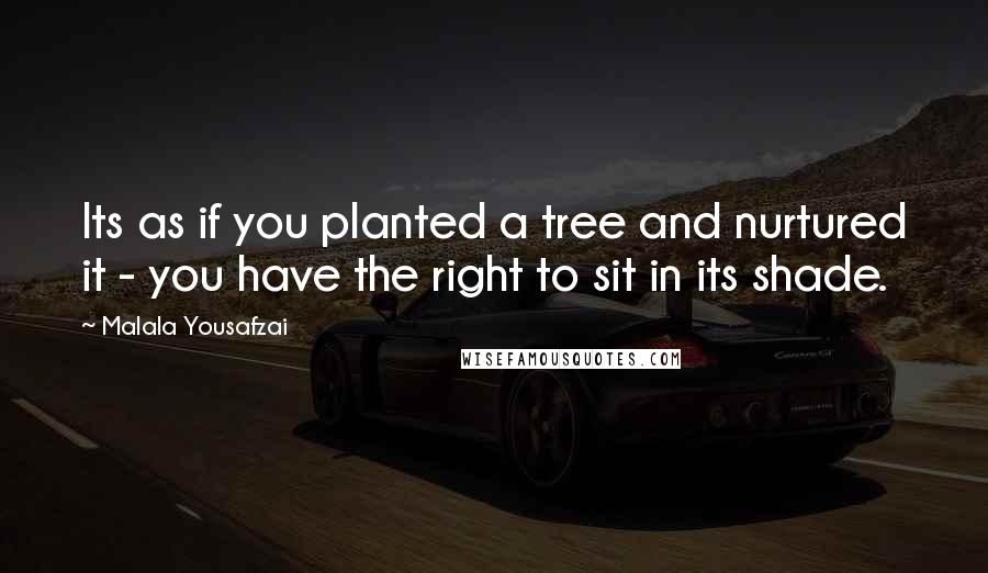 Malala Yousafzai Quotes: Its as if you planted a tree and nurtured it - you have the right to sit in its shade.