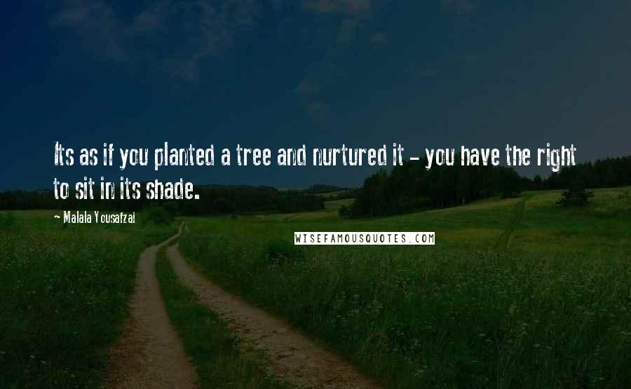 Malala Yousafzai Quotes: Its as if you planted a tree and nurtured it - you have the right to sit in its shade.
