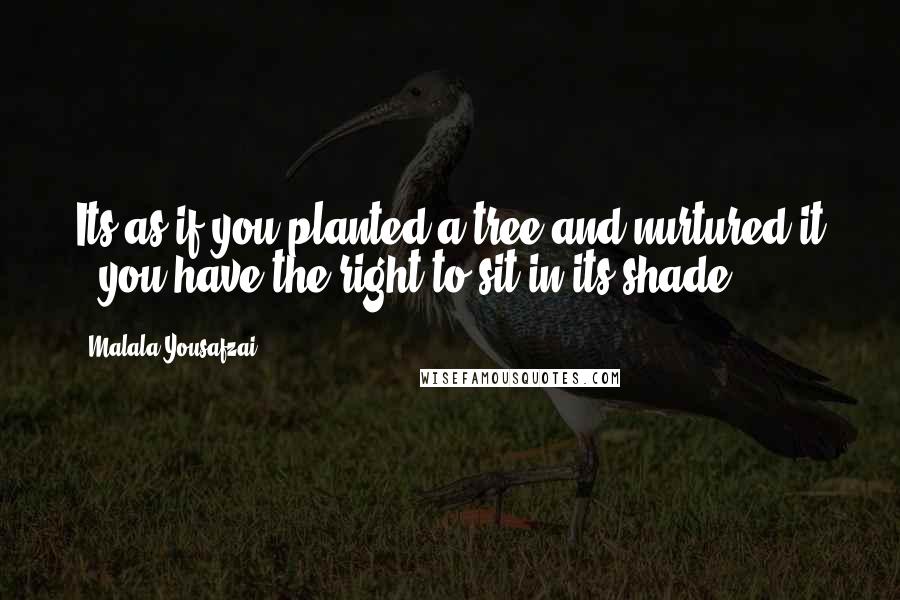 Malala Yousafzai Quotes: Its as if you planted a tree and nurtured it - you have the right to sit in its shade.