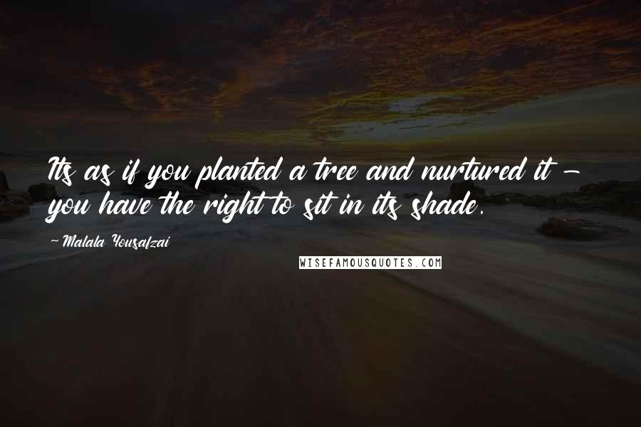 Malala Yousafzai Quotes: Its as if you planted a tree and nurtured it - you have the right to sit in its shade.