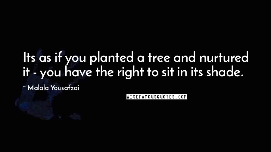 Malala Yousafzai Quotes: Its as if you planted a tree and nurtured it - you have the right to sit in its shade.