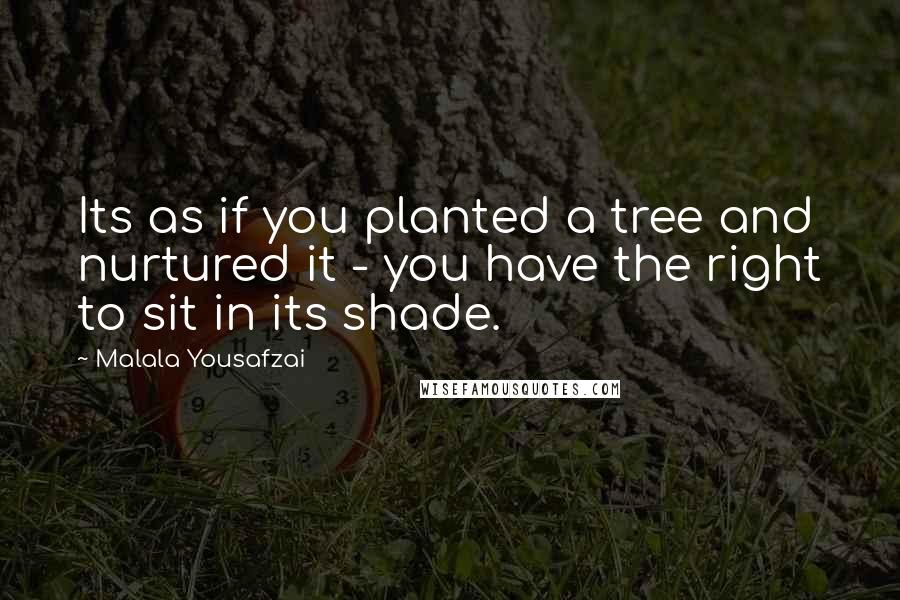 Malala Yousafzai Quotes: Its as if you planted a tree and nurtured it - you have the right to sit in its shade.