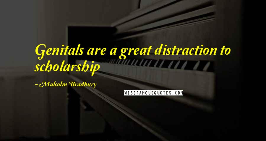 Malcolm Bradbury Quotes: Genitals are a great distraction to scholarship
