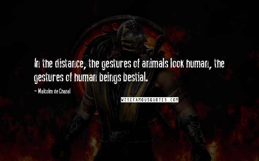 Malcolm De Chazal Quotes: In the distance, the gestures of animals look human, the gestures of human beings bestial.
