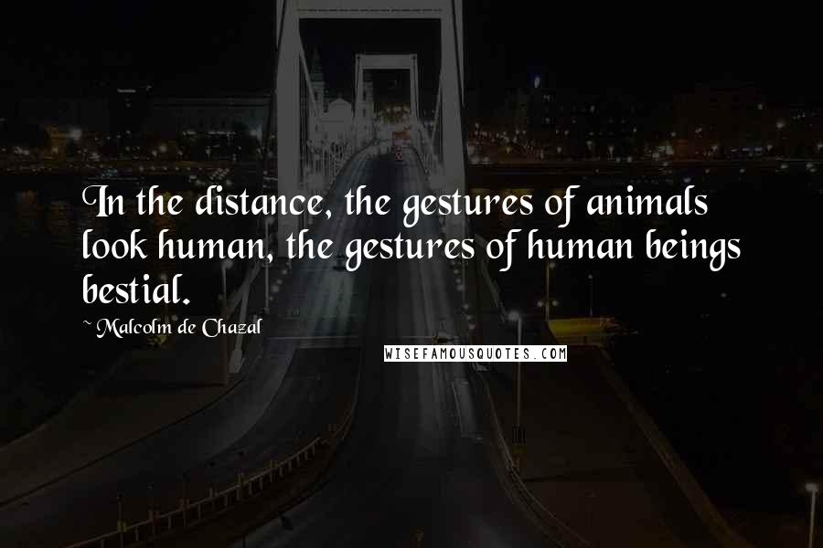 Malcolm De Chazal Quotes: In the distance, the gestures of animals look human, the gestures of human beings bestial.