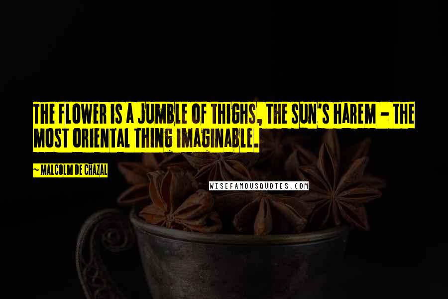 Malcolm De Chazal Quotes: The flower is a jumble of thighs, the sun's harem - the most oriental thing imaginable.