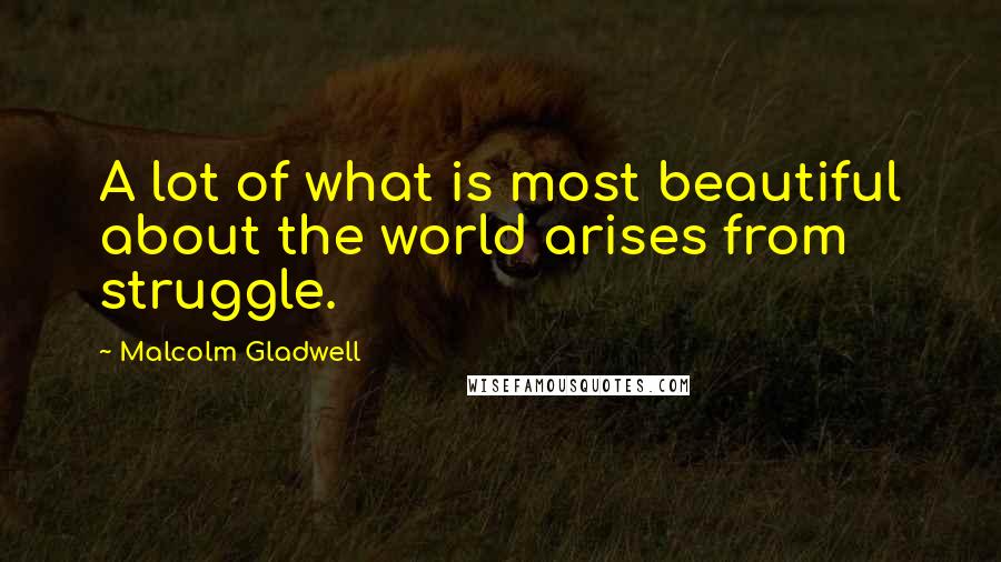 Malcolm Gladwell Quotes: A lot of what is most beautiful about the world arises from struggle.
