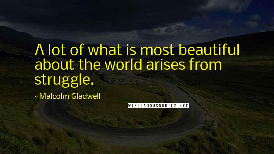 Malcolm Gladwell Quotes: A lot of what is most beautiful about the world arises from struggle.