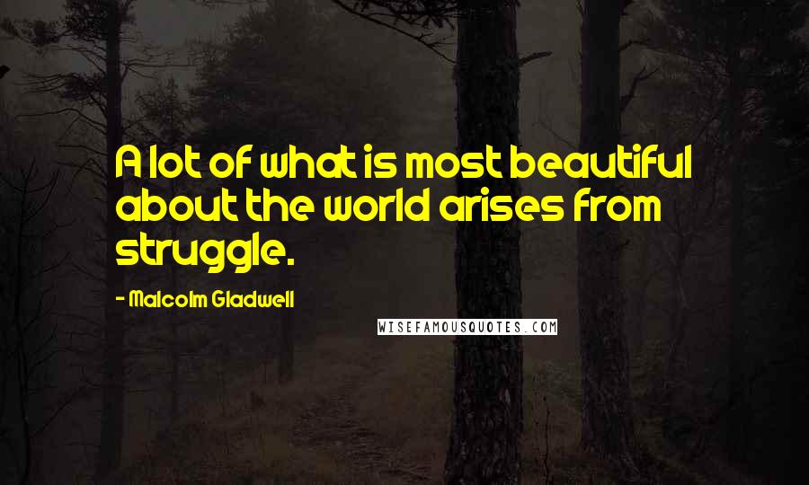 Malcolm Gladwell Quotes: A lot of what is most beautiful about the world arises from struggle.