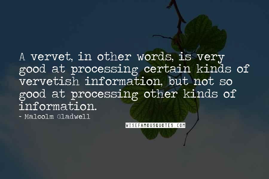 Malcolm Gladwell Quotes: A vervet, in other words, is very good at processing certain kinds of vervetish information, but not so good at processing other kinds of information.