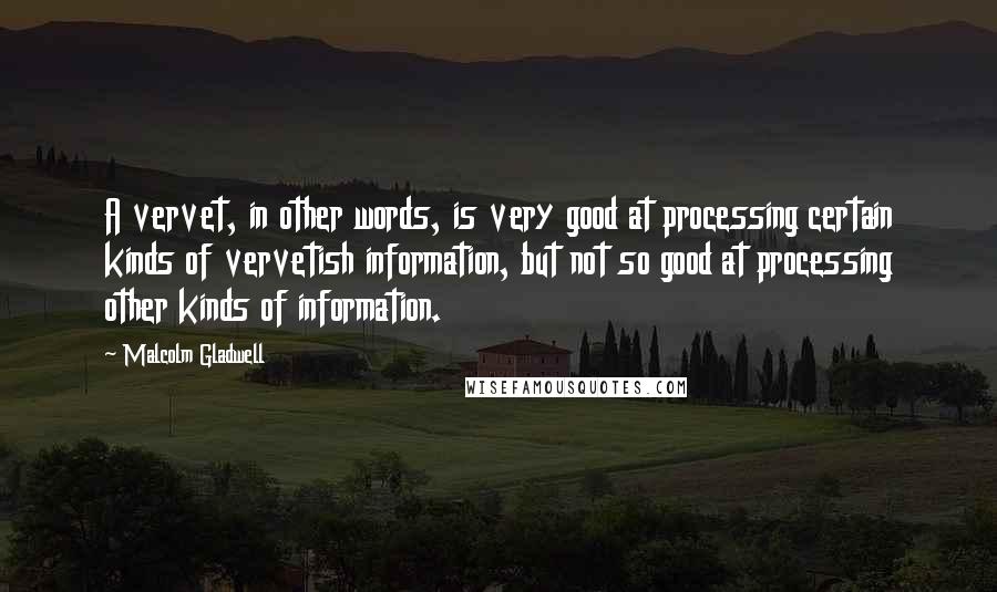 Malcolm Gladwell Quotes: A vervet, in other words, is very good at processing certain kinds of vervetish information, but not so good at processing other kinds of information.