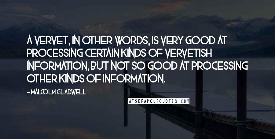 Malcolm Gladwell Quotes: A vervet, in other words, is very good at processing certain kinds of vervetish information, but not so good at processing other kinds of information.