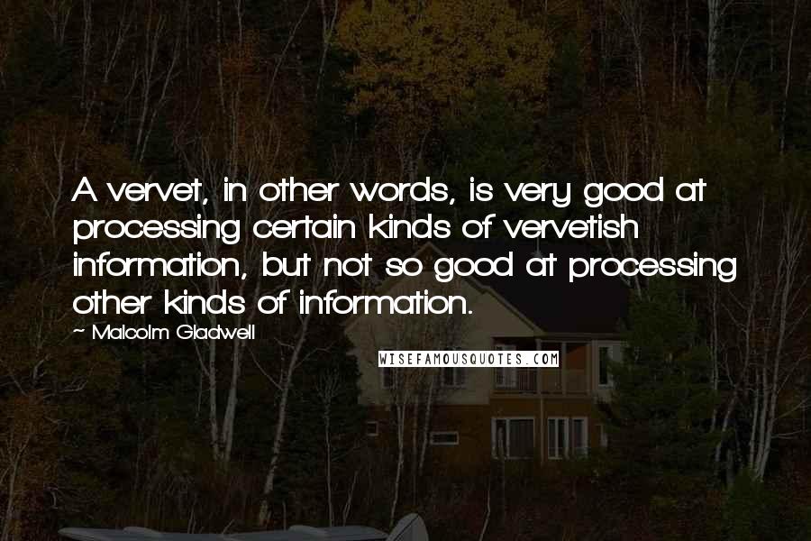 Malcolm Gladwell Quotes: A vervet, in other words, is very good at processing certain kinds of vervetish information, but not so good at processing other kinds of information.