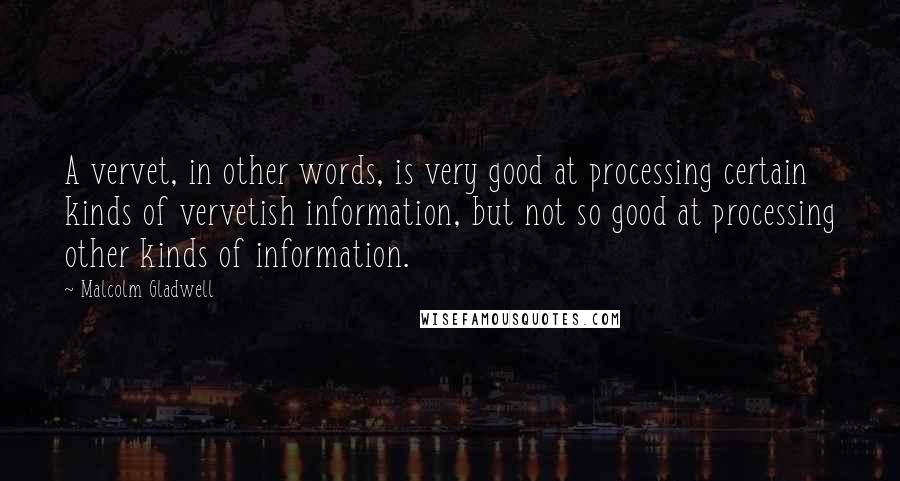 Malcolm Gladwell Quotes: A vervet, in other words, is very good at processing certain kinds of vervetish information, but not so good at processing other kinds of information.