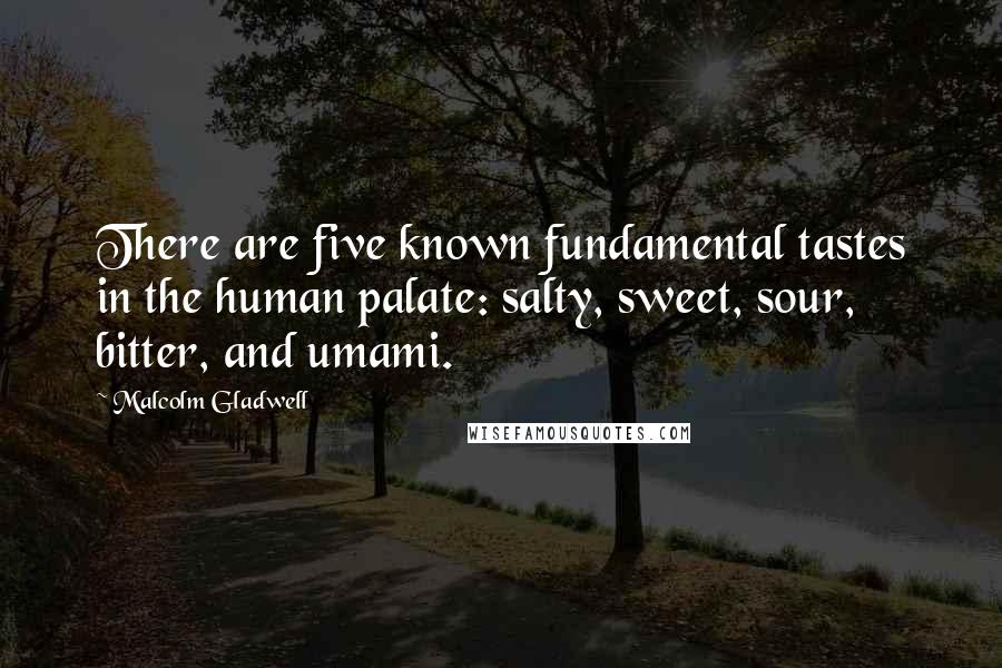 Malcolm Gladwell Quotes: There are five known fundamental tastes in the human palate: salty, sweet, sour, bitter, and umami.