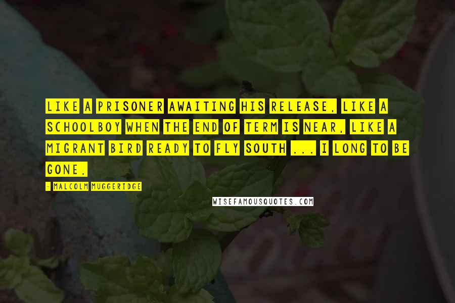 Malcolm Muggeridge Quotes: Like a prisoner awaiting his release, like a schoolboy when the end of term is near, like a migrant bird ready to fly south ... I long to be gone.