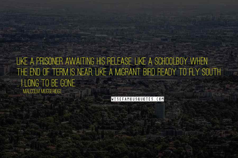 Malcolm Muggeridge Quotes: Like a prisoner awaiting his release, like a schoolboy when the end of term is near, like a migrant bird ready to fly south ... I long to be gone.