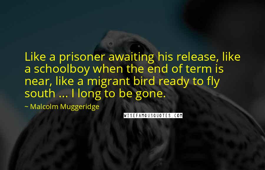 Malcolm Muggeridge Quotes: Like a prisoner awaiting his release, like a schoolboy when the end of term is near, like a migrant bird ready to fly south ... I long to be gone.