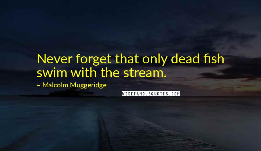 Malcolm Muggeridge Quotes: Never forget that only dead fish swim with the stream.
