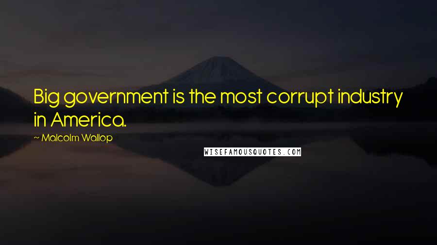 Malcolm Wallop Quotes: Big government is the most corrupt industry in America.