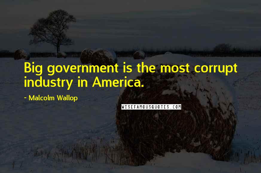 Malcolm Wallop Quotes: Big government is the most corrupt industry in America.