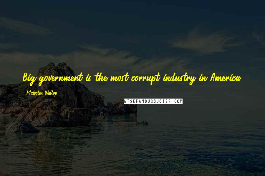 Malcolm Wallop Quotes: Big government is the most corrupt industry in America.