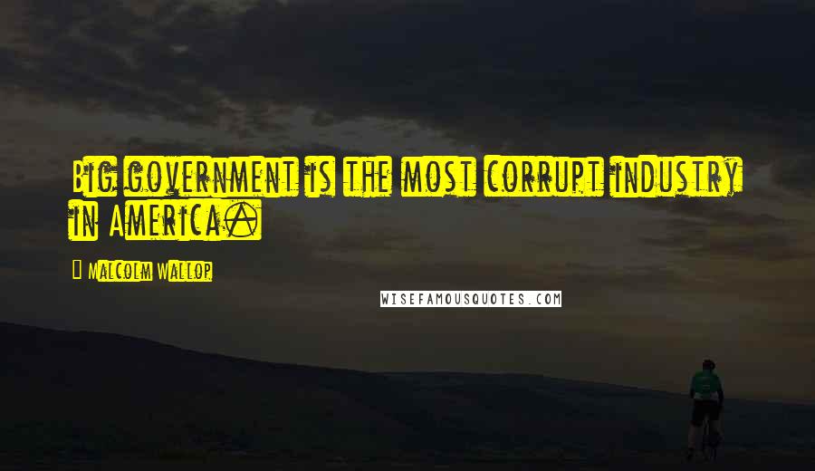 Malcolm Wallop Quotes: Big government is the most corrupt industry in America.