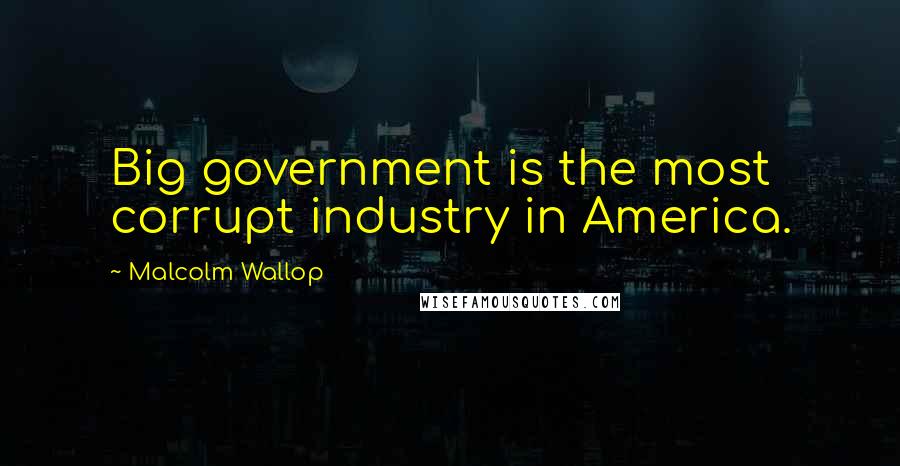 Malcolm Wallop Quotes: Big government is the most corrupt industry in America.