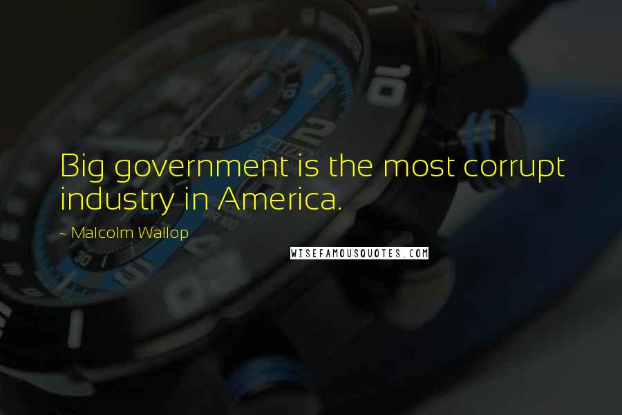 Malcolm Wallop Quotes: Big government is the most corrupt industry in America.