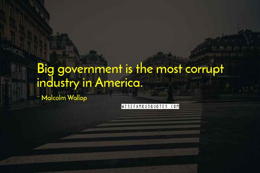 Malcolm Wallop Quotes: Big government is the most corrupt industry in America.