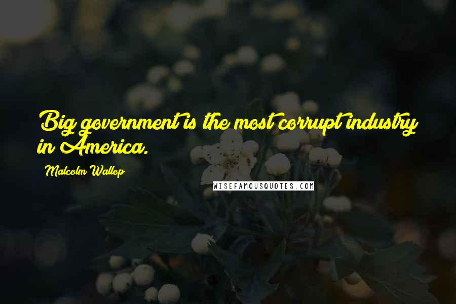 Malcolm Wallop Quotes: Big government is the most corrupt industry in America.