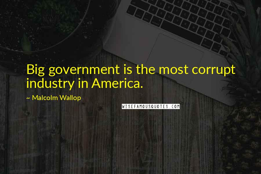 Malcolm Wallop Quotes: Big government is the most corrupt industry in America.